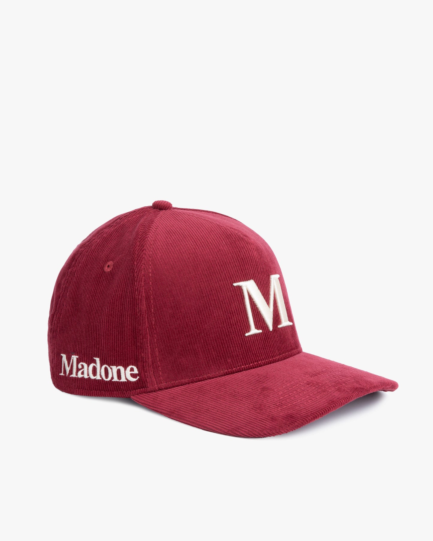 Panther Snapback